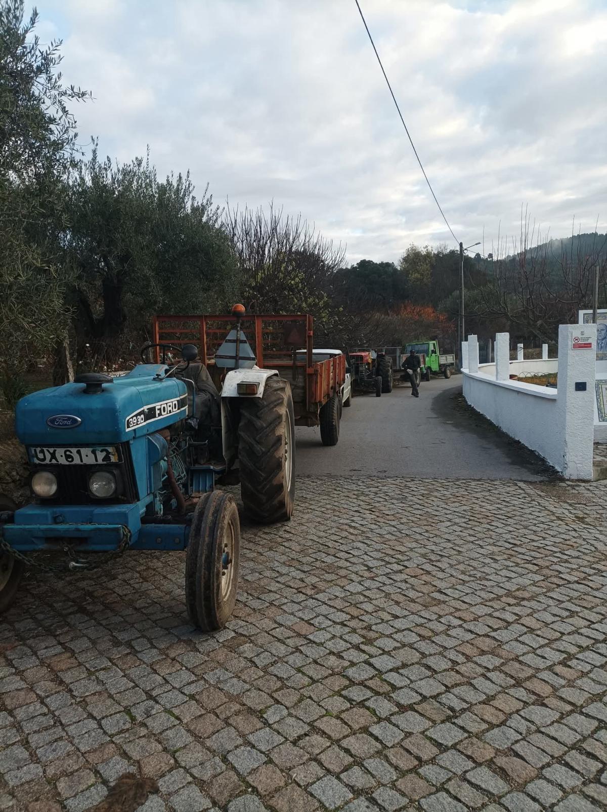 Preparativos para o corte do madeiro.